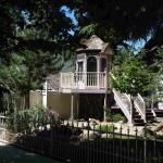 DSC03899_01 (June 17, 2020)